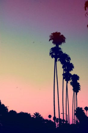 Image: Out & About Girl